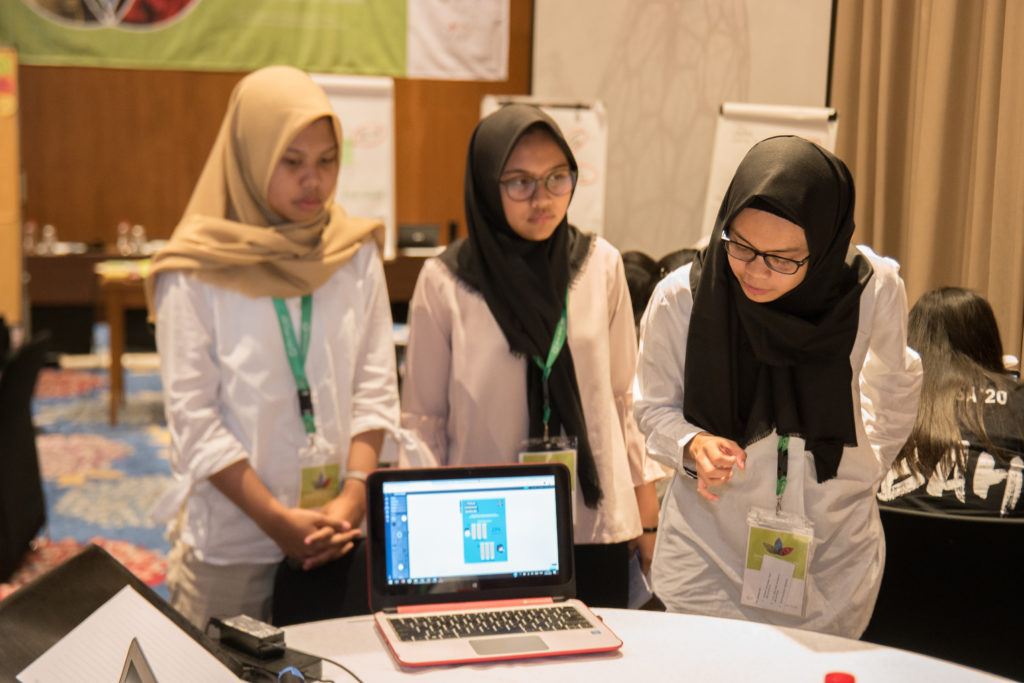 What will it take to improve data literacy of girls in Indonesia?
